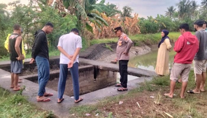 Seorang Warga Diduga Tenggelam di Saluran Irigasi Baranti, Tim Gabungan Gerak Cepat Lakukan Pencarian
