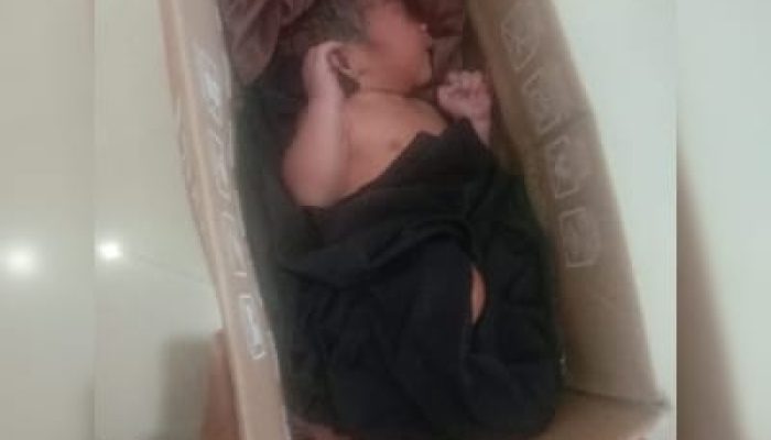 Tangisan di Posyandu: Bayi Mungil Ditemukan di Dalam Kardus Teh