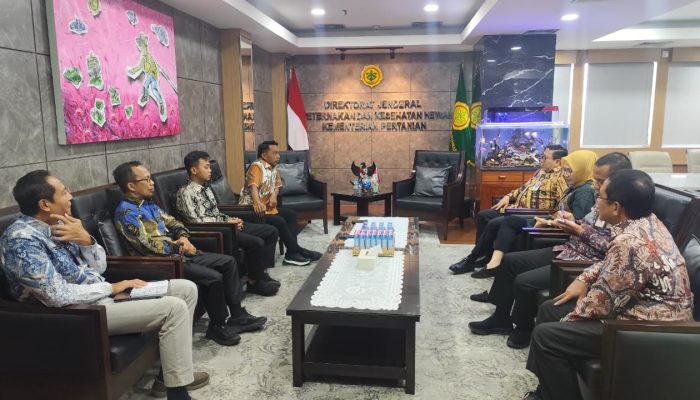 Bupati Syaharuddin Temui Dirjen Peternakan, Dorong Peningkatan Populasi Ayam Petelur di Sidrap