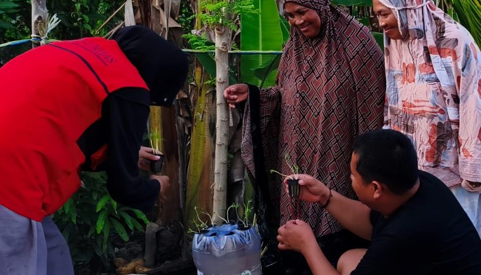 Mahasiswa KKN-T Unhas Gelombang 115 Laksanakan Program EcoGrow di Desa Bulo Wattang