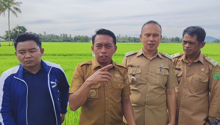 Bangkit dari Keterpurukan, Sidrap Tembus Tujuh Besar Layanan Publik Terbaik Sulsel