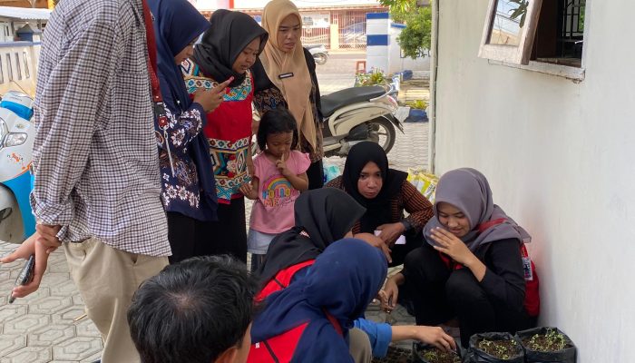 Mahasiswa KKN-T Inovasi Daerah Gelombang 115 Unhas Sosialisasikan Pemanfaatan Pekarangan Kantor Lurah Menjadi Kebun Sayur di Kelurahan Tanru Tedong
