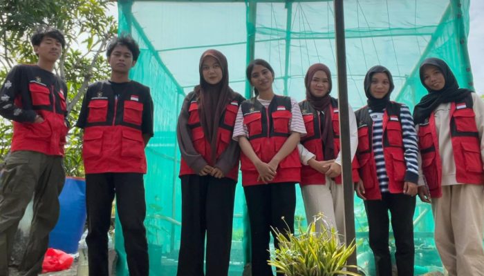 Mahasiswa KKN Unhas Dorong Pertanian Modern melalui Inovasi Greenhouse Terpadu dengan Sistem Hidroponik dan Aquaponik di Kelurahan Benteng Sidrap.