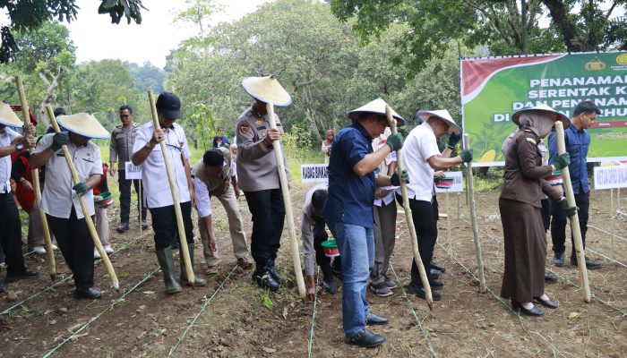 Tanam Jagung 812 Hektar, Ini Lokasi yang Ditanam Polda Sulsel