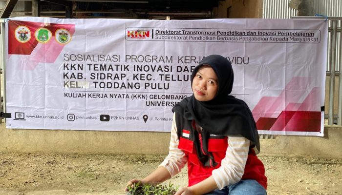 Ririn Jumrianti Mahasiswi KKN-T 115 Unhas Laksanakan Program Aquaponik Sederhana di Kelurahan Toddang Pulu