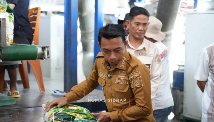 Usai Panen Raya, Bupati Sidrap Kunjungi Pabrik Beras Rahma 35