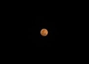 Gerhana Bulan Total 3 Maret 2026, Fenomena “Bulan Merah” Hiasi Langit Malam
