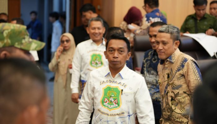 Bupati Syaharuddin Alrif Perjuangkan Dana Bagi Hasil PLTB Sidrap di Komisi XII DPR RI