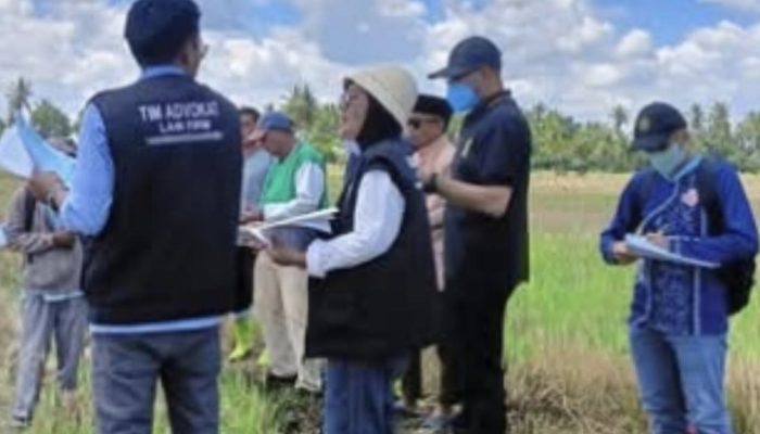 Mafia Tanah Kembali Gagal, PN Sengkang Tegaskan Kemenangan A’s Adiyah