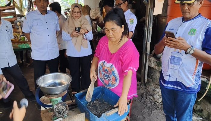 Dari Hama Jadi Berkah, Peternak Itik Sidrap Sulap Ikan Sapu-Sapu Jadi Pakan Berdaya Hasil Tinggi