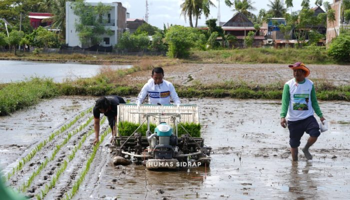 Sidrap Jadi Pertanian Modern, Syaharuddin Alrif Dorong Teknologi dan Mekanisasi 