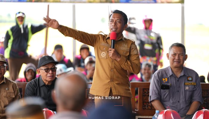 Panen Raya Penuh Sukacita di Desa Lise, Bukti Kuatnya Sinergi Pemkab Sidrap dan Petani