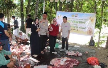 Idul Adha 1447 H, Kapolres Enrekang Kurbankan 8 Ekor Sapi untuk Warga dan Kaum Dhuafa