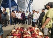 Direktur Bappenas Apresiasi Kemajuan Pabrik Beras di Sidrap, Siap Jadi Model Pertanian Modern di Indonesia Timur