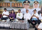 Ketua DPRD Sidrap Dampingi Bappenas Panen Raya, Tegaskan Komitmen Perkuat Lumbung Pangan Nasional