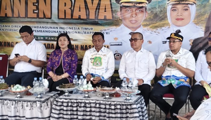 Ketua DPRD Sidrap Dampingi Bappenas Panen Raya, Tegaskan Komitmen Perkuat Lumbung Pangan Nasional