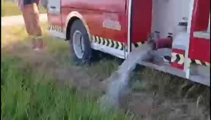 Sawah Mulai Mengering, Bupati Sidrap Kerahkan Damkar dan Mobil Tangki Selamatkan Padi Petani