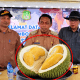 Desa Lombo Sidrap Bersiap Jadi Surga Durian Black Thorn, Buah Premium Rasa Sultan Mulai Panen