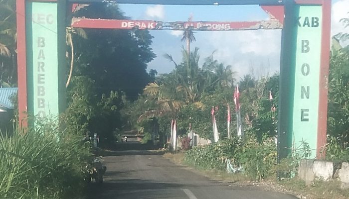 LAKI” Soroti Plang Batas Desa Kajaolaliddong Tak Kunjung Diperbaiki menyambut HUT Kemerdekaan RI ke81, Pemerintah Desa Diduga TerkesanTutup Mata