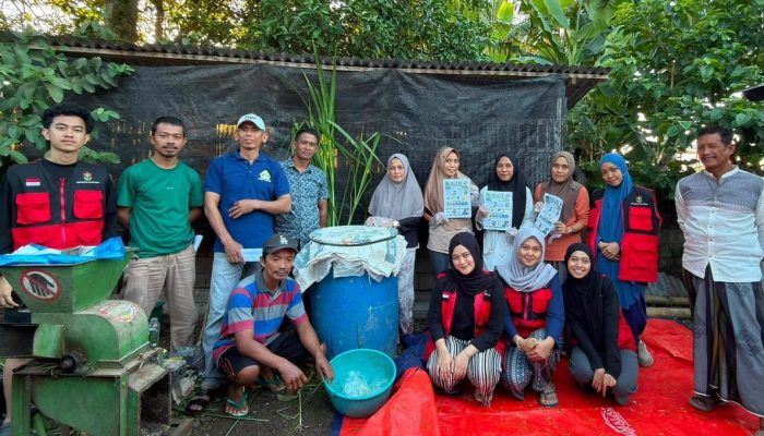Rezky Amelia, Mahasiswi KKN-T Pemberdayan Desa 116 Unhas Gelar “Pembuatan Silase” Di Desa Hulo.