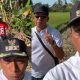 Minggu Sore di Tengah Sawah, Bupati Sidrap Turun Langsung Pastikan Air Tetap Mengalir ke Lahan Petani
