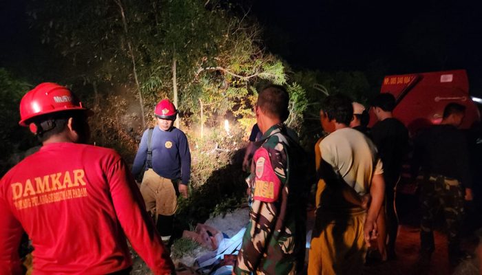 Sinergitas TNI-Polri dan Damkar Berhasil Padamkan Kebakaran Lahan di Desa Malimpung