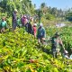 Gerak Bersama Bersihkan Saluran Irigasi, TNI dan Warga Tiroang Pastikan Aliran Air Lancar ke Sawah