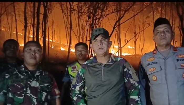 Dandim 1420 Sidrap Turun Langsung Padamkan Kebakaran Lahan di Mattirotasi