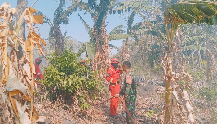 Gerak Cepat TNI-Polri, Damkar dan Warga Padamkan Kebakaran Kebun Pisang Seluas 1 Hektare di Makkawaru