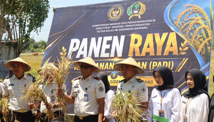 Tanam Kemandirian, Panen Ketahanan Pangan : Rutan Sidrap Gelar Panen Raya