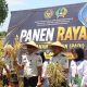 Tanam Kemandirian, Panen Ketahanan Pangan : Rutan Sidrap Gelar Panen Raya