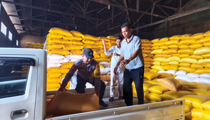 Jagung Petani Tutar Terserap Bulog, Bhabinkamtibmas Kawal Langsung hingga Penjualan