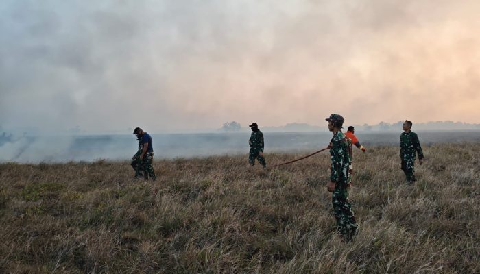 Dandim 1404/Pinrang Pimpin Pemadaman, TNI-Polri dan Damkar Berjibaku Jinakkan Api di Patampanua  TOPNEWS 1.ONLINE-PINRANG–