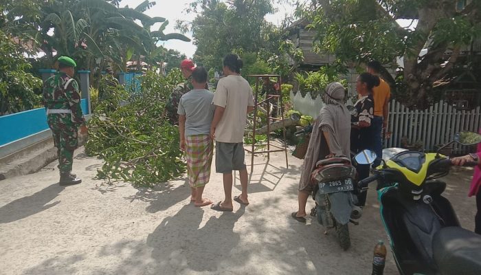 Peduli Keselamatan Warga, Babinsa Koramil 1404-05/Patampanua Bersama Warga Pangkas Ranting Pohon  TOPNEWS 1.ONLINE-PINRANG–