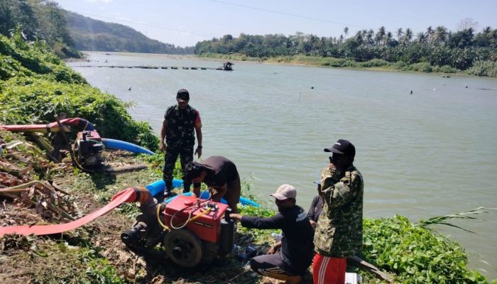 Tak Biarkan Sawah Kekeringan, Babinsa Serka Imran Bantu Petani Pompa Air dari Sungai Saddang
