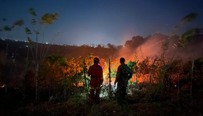 Gerak Cepat TNI-Polri dan Damkar, Kebakaran 2 Hektare Lahan di Tellupanua Berhasil Dipadamkan