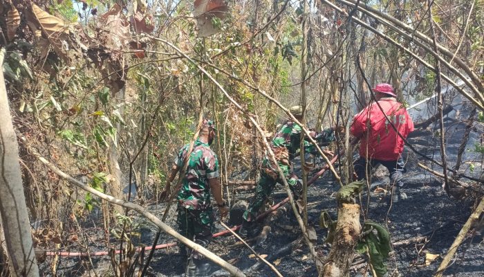 Berkat Gerak Cepat TNI-Polri dan Damkar, Kebakaran Lahan 40 Are di Paleteang Terkendali