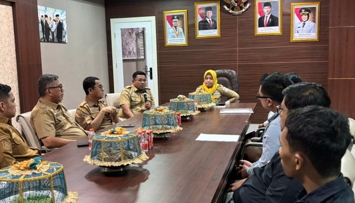 Wabup Nurkanaah Terima Tim BPK, Pemkab Sidrap Siap Dukung Pemeriksaan Pengelolaan PAD