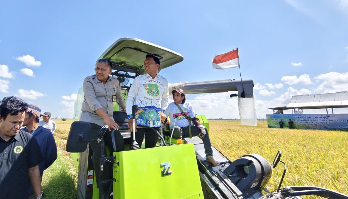Sidrap Buktikan Tangguh Hadapi El Nino, Lebih dari 51 Ribu Hektare Sawah Panen dan PM-AAS Lampaui Target