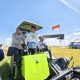 Sidrap Buktikan Tangguh Hadapi El Nino, Lebih dari 51 Ribu Hektare Sawah Panen dan PM-AAS Lampaui Target