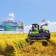 Panen Perdana PM-AAS Sidrap Lampaui Target, Hasil Capai 11,2 Ton per Hektare