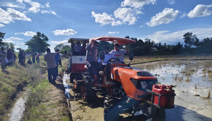 Bupati Sidrap Pacu IP300 di Botto, 10 Hektare Sawah Mulai Digarap dengan Rotavator dan Traktor