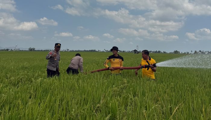 Peduli Petani di Tengah Kemarau, Polres Sidrap Siram Sawah Pakai Water Cannon