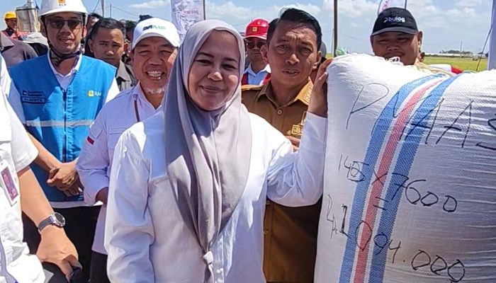 Kemarau Tak Halangi Panen, Wagub Sulsel: Sidrap Luar Biasa, Listrik Masuk Sawah Jadi Solusi