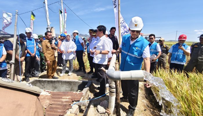 Program Syaharuddin Alrif Selamatkan Sawah di Sidrap Meski Musim Kemarau, Rauf Rp93,85 Miliar