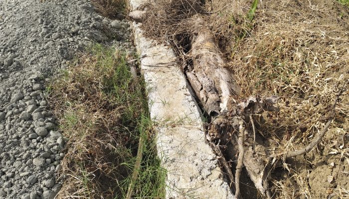 Rp75 Juta Digelontorkan, Kondisi Talud dan Penimbunan Jalan Tani Addewatang Taccimpo Dipertanyakan