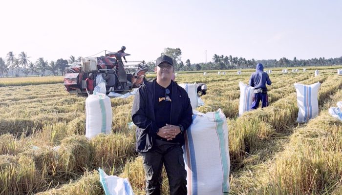 Petani Milenial Kalosi Alau Buktikan Pertanian Bisa Jadi Ladang Cuan, Satu Hektare Raup Rp78 Juta