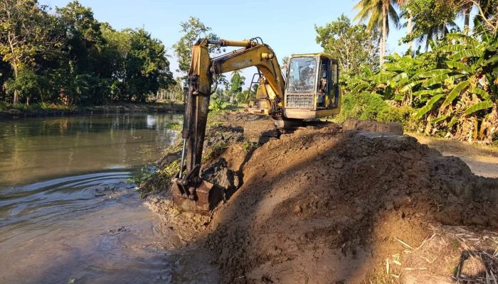 Normalisasi Saluran Sikkuala Dipercepat, Distribusi Air Irigasi ke Sawah Petani Dioptimalkan