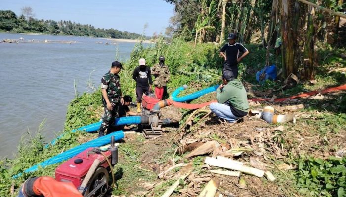 Tak Biarkan Sawah Kekeringan, Babinsa Serka Imran Bantu Petani Pompa Air dari Sungai Saddang