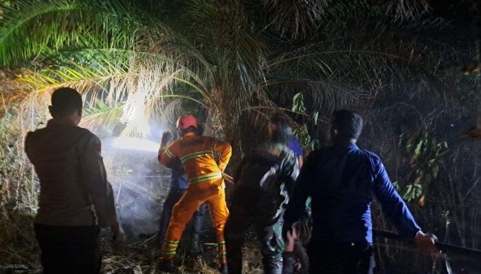 5 Hektare Kebun Sawit Terbakar di Polman, Satgas Karhutla Bergerak Cepat Jinakkan Api